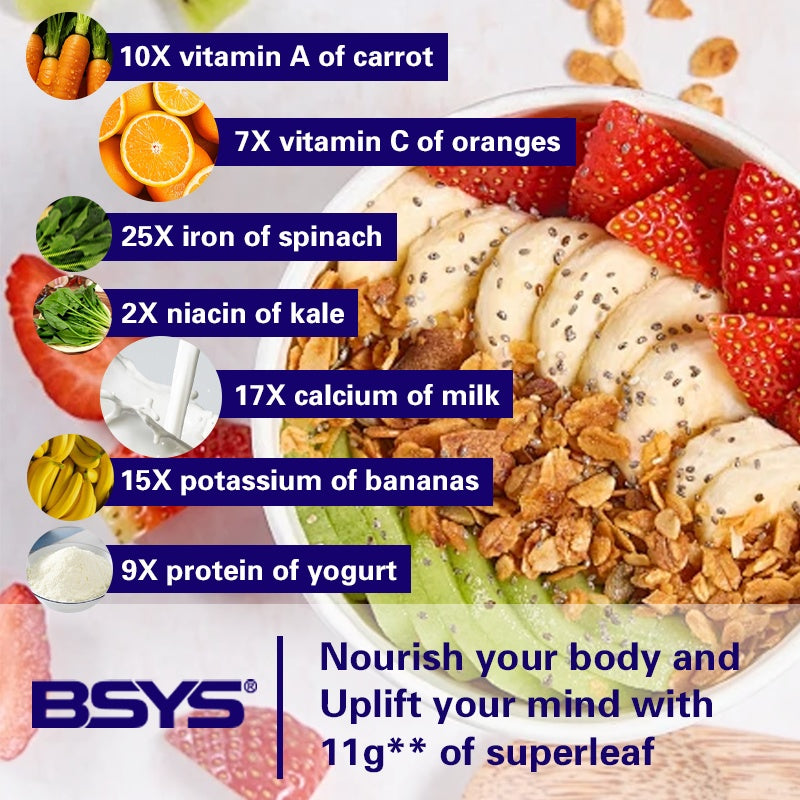 BSYS Moringa Capsules  Antioxidant & Anti-Inflammatory Support  Blood Sugar Health Aid  Cholesterol Balance Formula  Heart Wellness Support  Immune Boost & Natural Defense