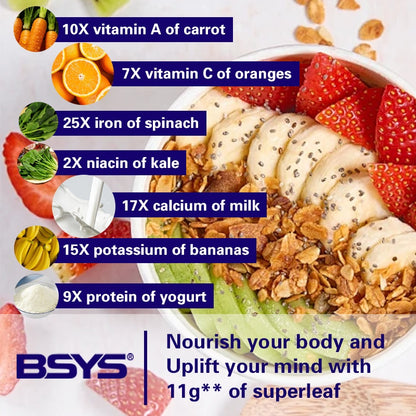 BSYS Moringa Capsules  Antioxidant & Anti-Inflammatory Support  Blood Sugar Health Aid  Cholesterol Balance Formula  Heart Wellness Support  Immune Boost & Natural Defense
